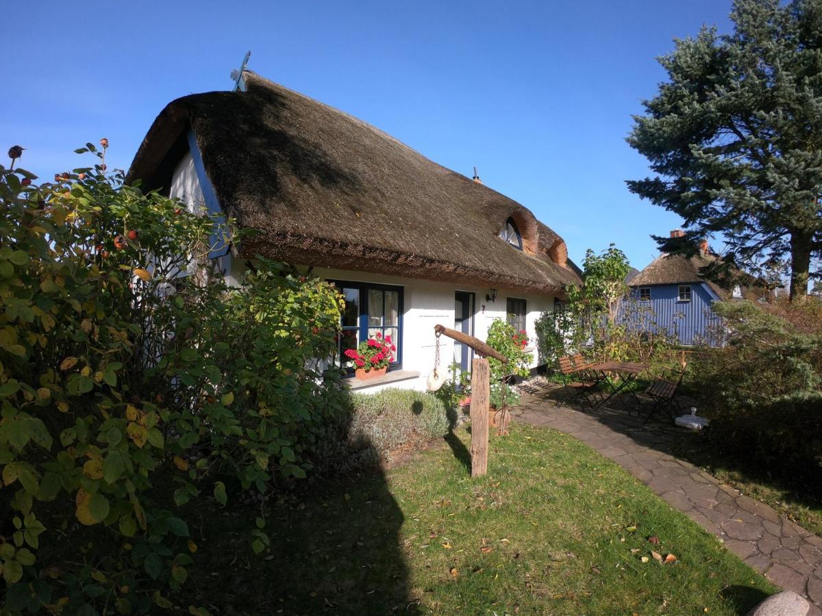 Landhaus Darss Wieck Eksteriør bilde